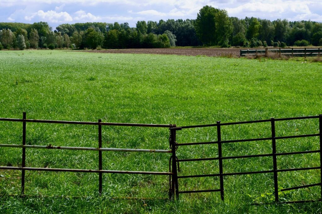 Zo kies je de juiste schutting voor je tuin en hoe deze te laten plaatsen
